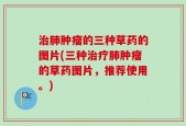 治肺肿瘤的三种草药的图片(三种治疗肺肿瘤的草药图片，推荐使用。)