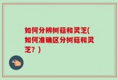 如何分辨树菇和灵芝(如何准确区分树菇和灵芝？)