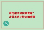 灵芝孢子如何喷发芽？冲灵芝孢子粉正确步骤