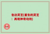 包边灵芝(重生的灵芝：再现神奇功效)