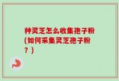 种灵芝怎么收集孢子粉(如何采集灵芝孢子粉？)