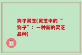 狗子灵芝(灵芝中的“狗子”：一种新的灵芝品种)