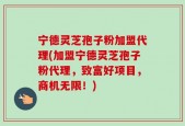 宁德灵芝孢子粉加盟代理(加盟宁德灵芝孢子粉代理，致富好项目，商机无限！)