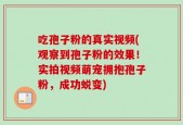 吃孢子粉的真实视频(观察到孢子粉的效果！实拍视频萌宠拥抱孢子粉，成功蜕变)