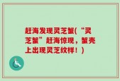 赶海发现灵芝蟹(“灵芝蟹”赶海惊现，蟹壳上出现灵芝纹样！)