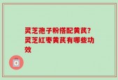 灵芝孢子粉搭配黄芪？灵芝红枣黄芪有哪些功效