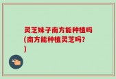 灵芝妹子南方能种植吗(南方能种植灵芝吗？)