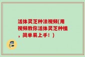 活体灵芝种法视频(用视频教你活体灵芝种植，简单易上手！)