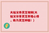 大姑父养灵芝视频(大姑父分享灵芝养殖心得，助力灵芝种植！)