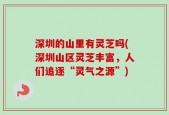 深圳的山里有灵芝吗(深圳山区灵芝丰富，人们追逐“灵气之源”)