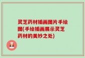 灵芝药材插画图片手绘图(手绘插画展示灵芝药材的美妙之处)