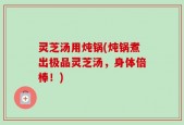 灵芝汤用炖锅(炖锅煮出极品灵芝汤，身体倍棒！)