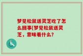梦见松鼠送灵芝吃了怎么回事(梦见松鼠送灵芝，意味着什么？
