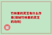 竹林里的灵芝有什么作用(探秘竹林里的灵芝的功效)