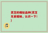 灵芝的相似品种(灵芝兄弟姐妹，认识一下！)