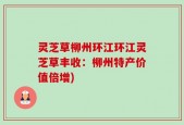 灵芝草柳州环江环江灵芝草丰收：柳州特产价值倍增)