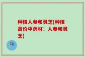 种植人参和灵芝(种植高价中药材：人参和灵芝)