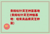 贵阳松针灵芝种苗基地(贵阳松针灵芝种植基地：培育高品质灵芝种苗)