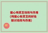 猪心炖灵芝功效与作用(炖猪心和灵芝的好处 探讨功效与作用)