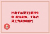 挖出千年灵芝(重视生命 善待身体，千年古灵芝为身体加护)