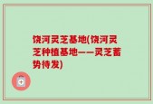 饶河灵芝基地(饶河灵芝种植基地——灵芝蓄势待发)