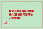 野灵芝的正确踩法图解图片(正确野灵芝踩法，看图解！)