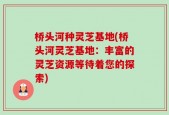 桥头河种灵芝基地(桥头河灵芝基地：丰富的灵芝资源等待着您的探索)