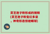 灵芝孢子粉形成的视频(灵芝孢子粉变幻多姿，神奇形态惊艳眼球)