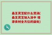 桑王灵芝配什么煲汤(桑王灵芝加入汤中 增添食材全方位的益处)