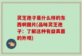 灵芝孢子是什么样的东西啊图片(品味灵芝孢子：了解这种有益真菌的外观)