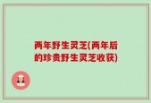 两年野生灵芝(两年后的珍贵野生灵芝收获)