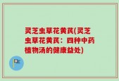灵芝虫草花黄芪(灵芝虫草花黄芪：四种中药植物汤的健康益处)