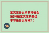 紫灵芝什么季节种植合适(种植紫灵芝的最佳季节是什么时候？)