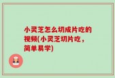 小灵芝怎么切成片吃的视频(小灵芝切片吃，简单易学)