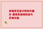 安徽灵芝孢子粉饮片图片 展现其独特形态与药用价值