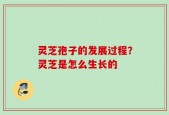 灵芝孢子的发展过程？灵芝是怎么生长的