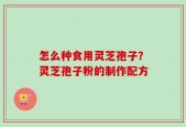 怎么种食用灵芝孢子？灵芝孢子粉的制作配方