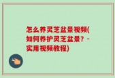 怎么养灵芝盆景视频(如何养护灵芝盆景？-实用视频教程)