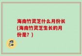 海南竹灵芝什么月份长(海南竹灵芝生长的月份是？)