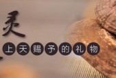 灵芝孢子粉什么人不能吃？