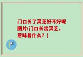 门口长了灵芝好不好呢图片(门口长出灵芝，意味着什么？)