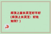 房顶上面长灵芝好不好(房顶上长灵芝：好处如何？)