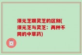 须元芝跟灵芝的区别(须元芝与灵芝：两种不同的中草药)