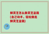 鲜灵芝怎么做灵芝盆栽(自己动手，轻松做出鲜灵芝盆栽)