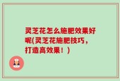 灵芝花怎么施肥效果好呢(灵芝花施肥技巧，打造高效果！)