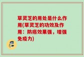 草灵芝的用处是什么作用(草灵芝的功效及作用：防癌效果强，增强免疫力)