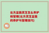 北方盆栽灵芝怎么养护和管理(北方灵芝盆栽的养护与管理技巧)