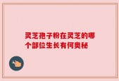 灵芝孢子粉在灵芝的哪个部位生长有何奥秘