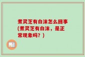 煮灵芝有白沫怎么回事(煮灵芝有白沫，是正常现象吗？)