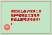 破壁灵芝孢子粉放土里能种吗(破壁灵芝孢子粉在土里可以种植吗？)